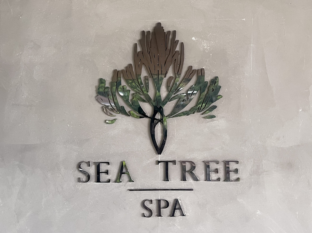 The Funny Lion El Nido主图