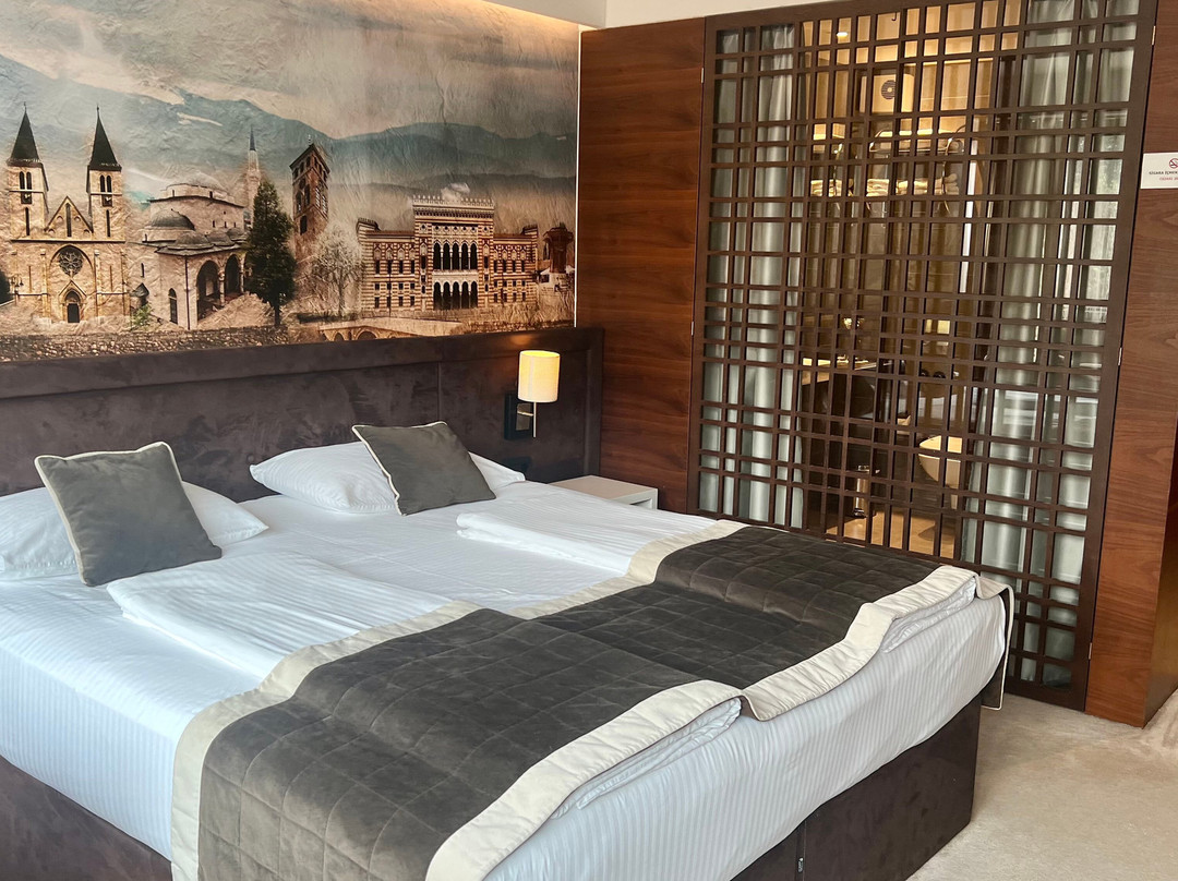 Hotel President Sarajevo主图