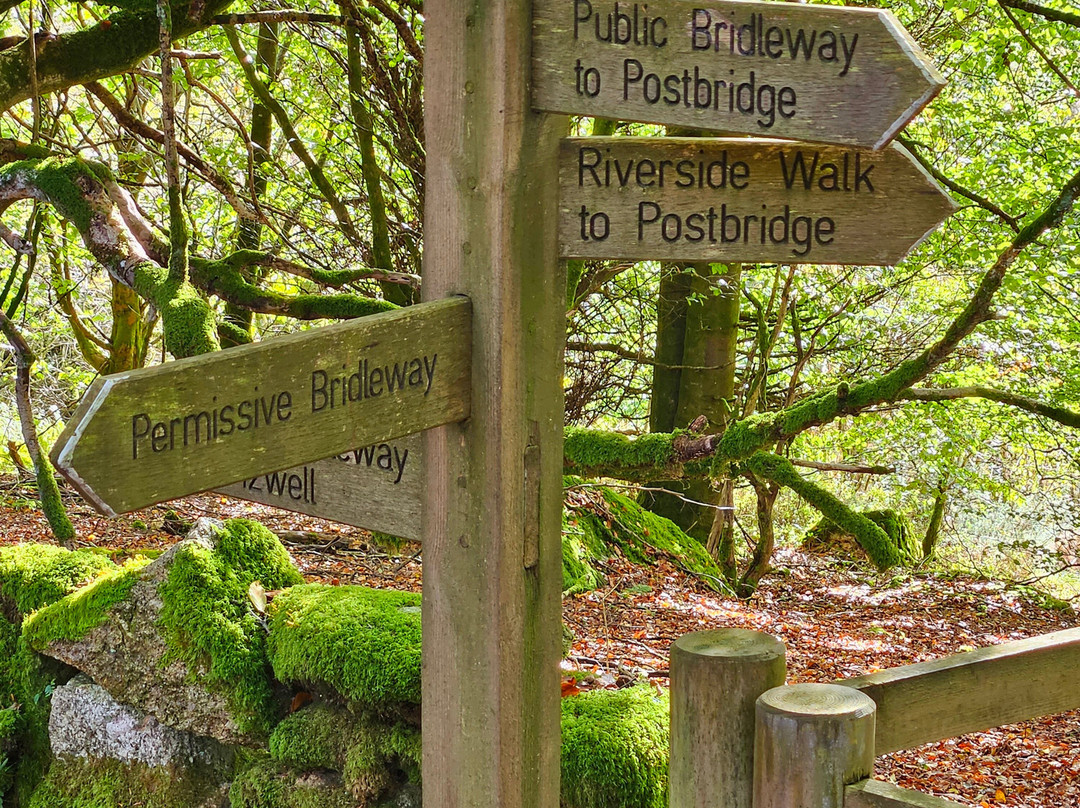 Lydgate House Hotel, Dartmoor主图