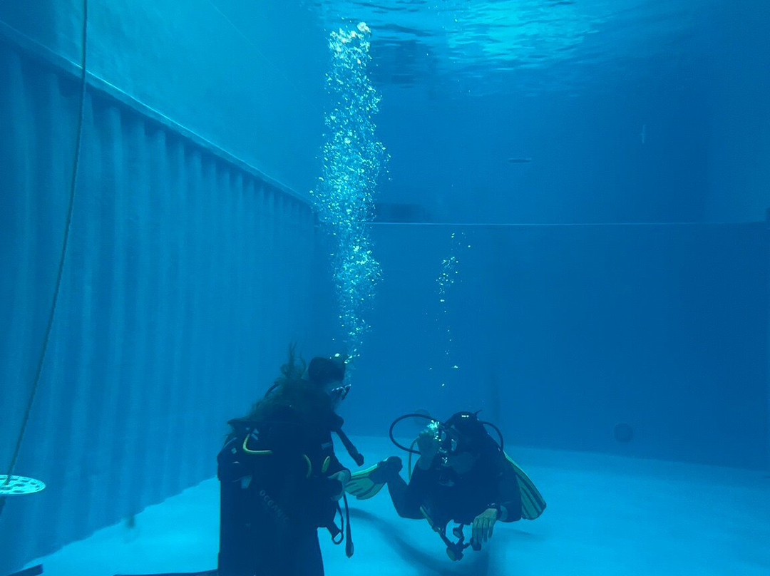 DiveCampus Diving Club