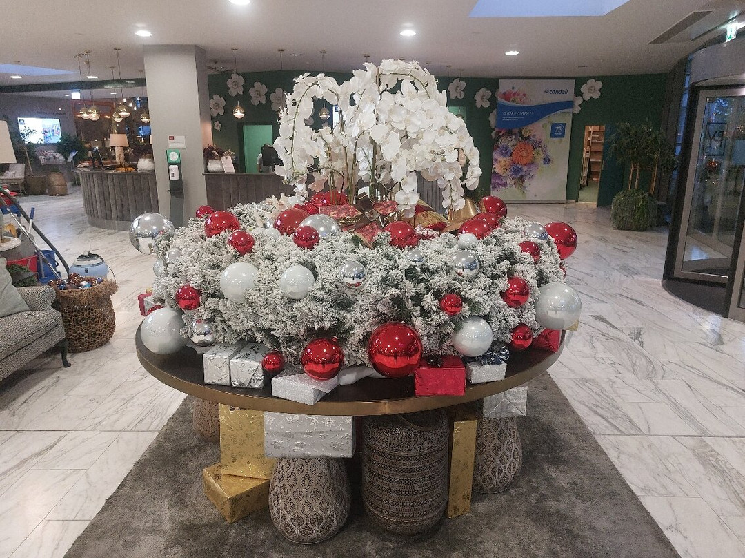 金字塔奥地利流行酒店主图