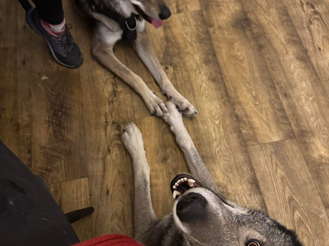 Hillside Hotel Bar and Restaurant主图