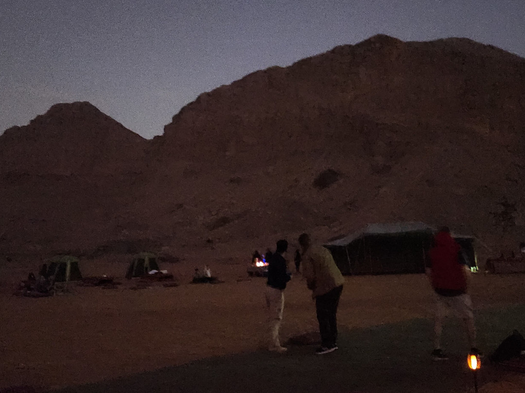 Mleiha National Park-沙迦必去景点