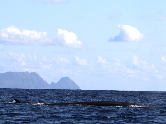 Ventura Nature Emotions-沙尔必去景点