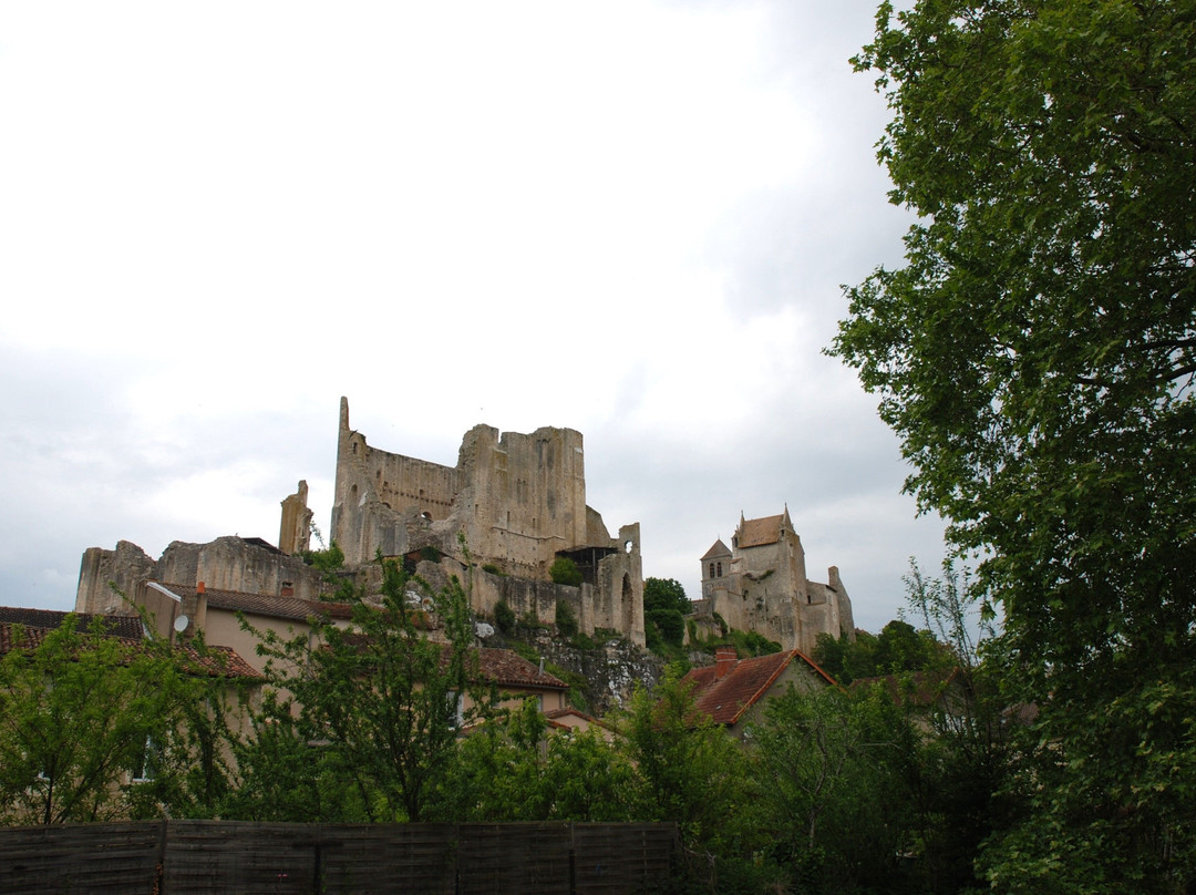 Cité Médiévale景点图片
