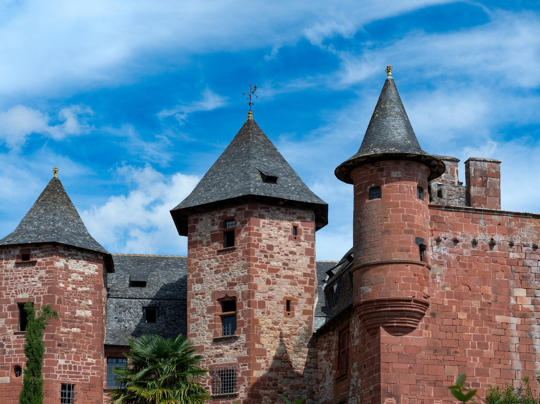 Château de Vassinhac景点图片