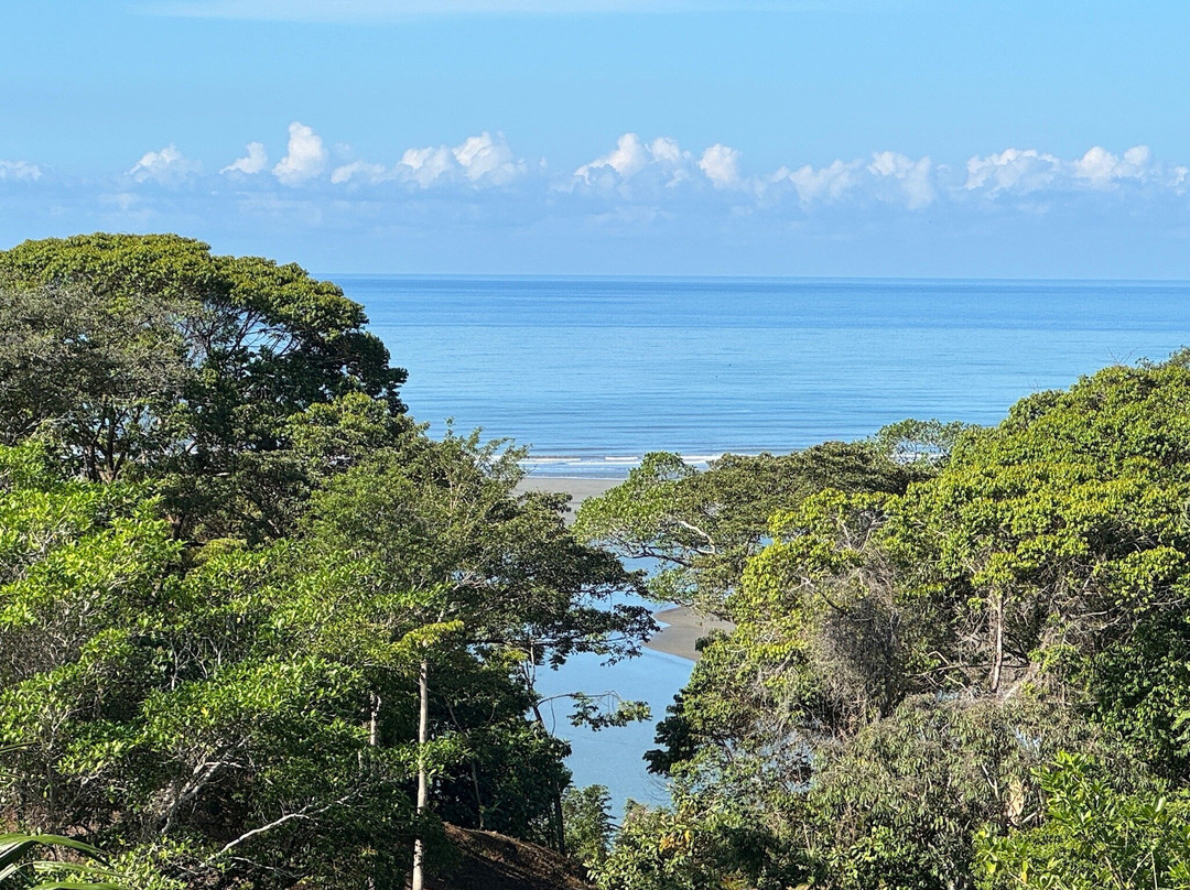 Alma De Ojochal主图