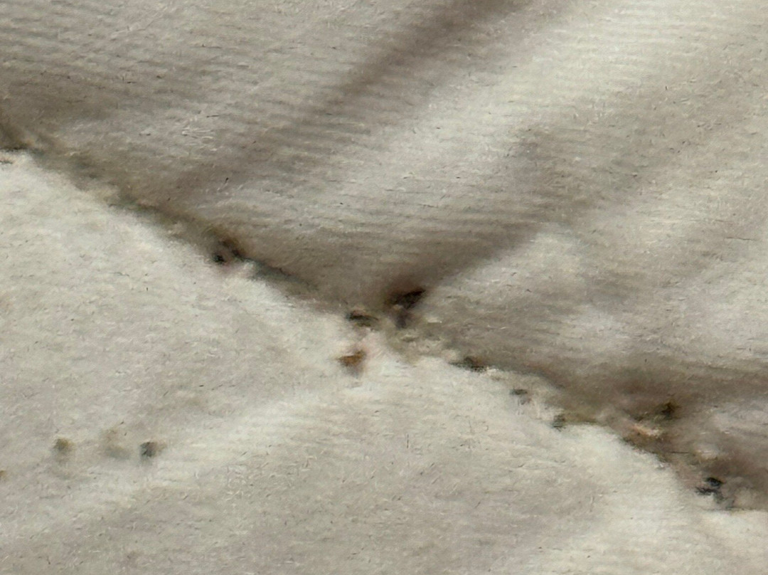 Studio 6 Chattanooga主图