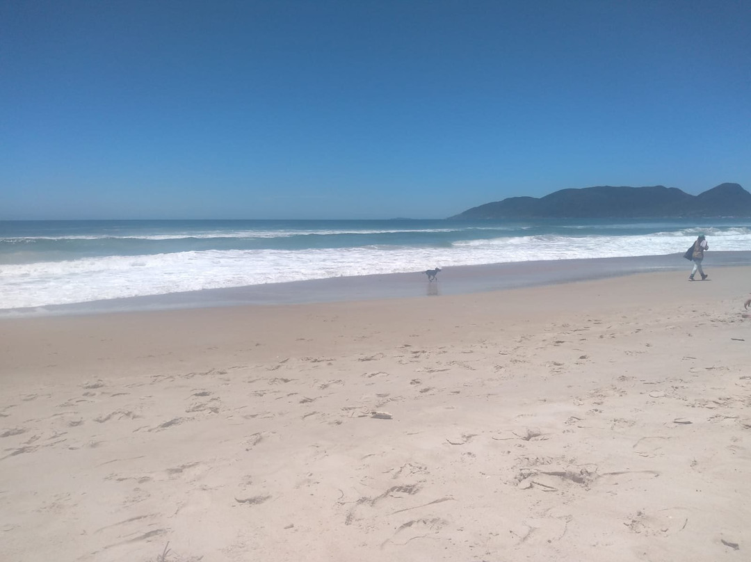 Morro das Pedras Beach景点图片