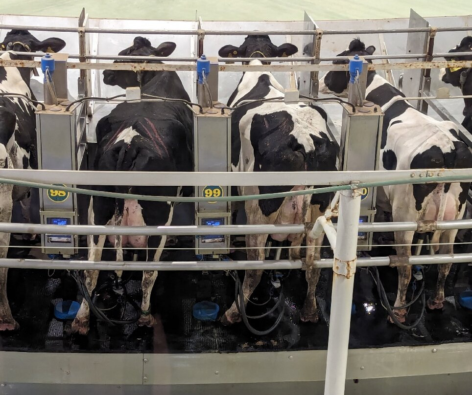 Baladna Park-Al Uqda必去景点