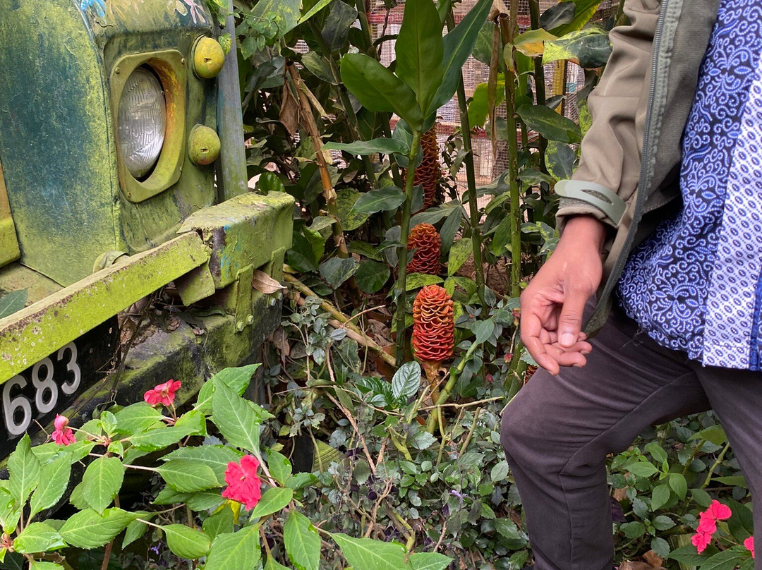 Jaies Chauffeur Service and Tour Assistant-怡保必去景点