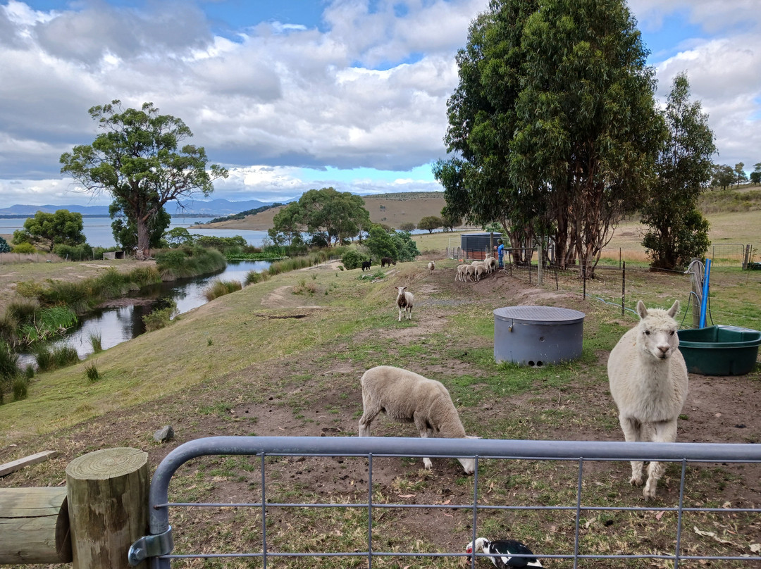 Iron Creek Bay Estate