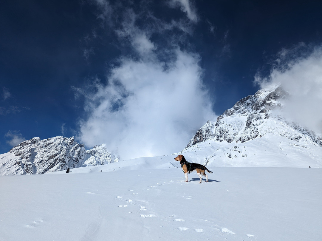 Das Grunholz Aparthotel主图