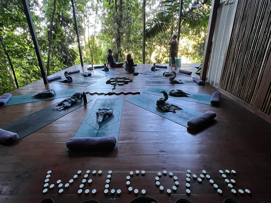 Vista Celestial主图