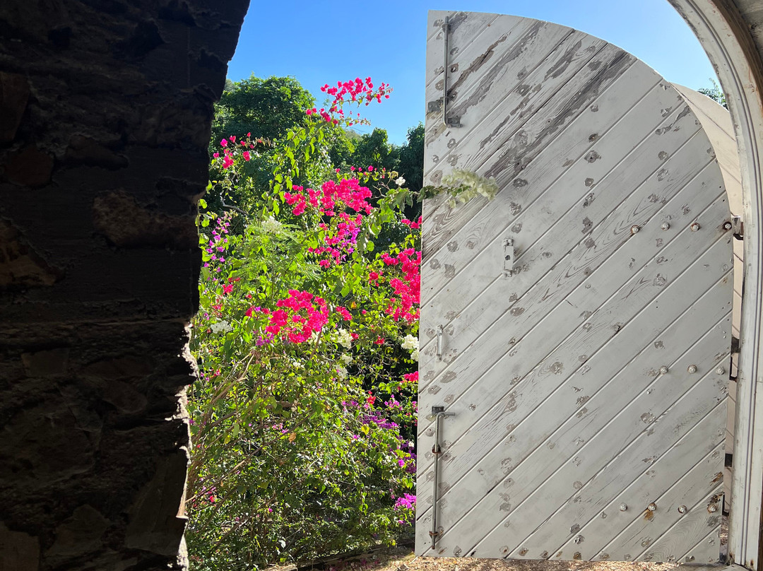 Estate Mount Washington-Frederiksted必去景点