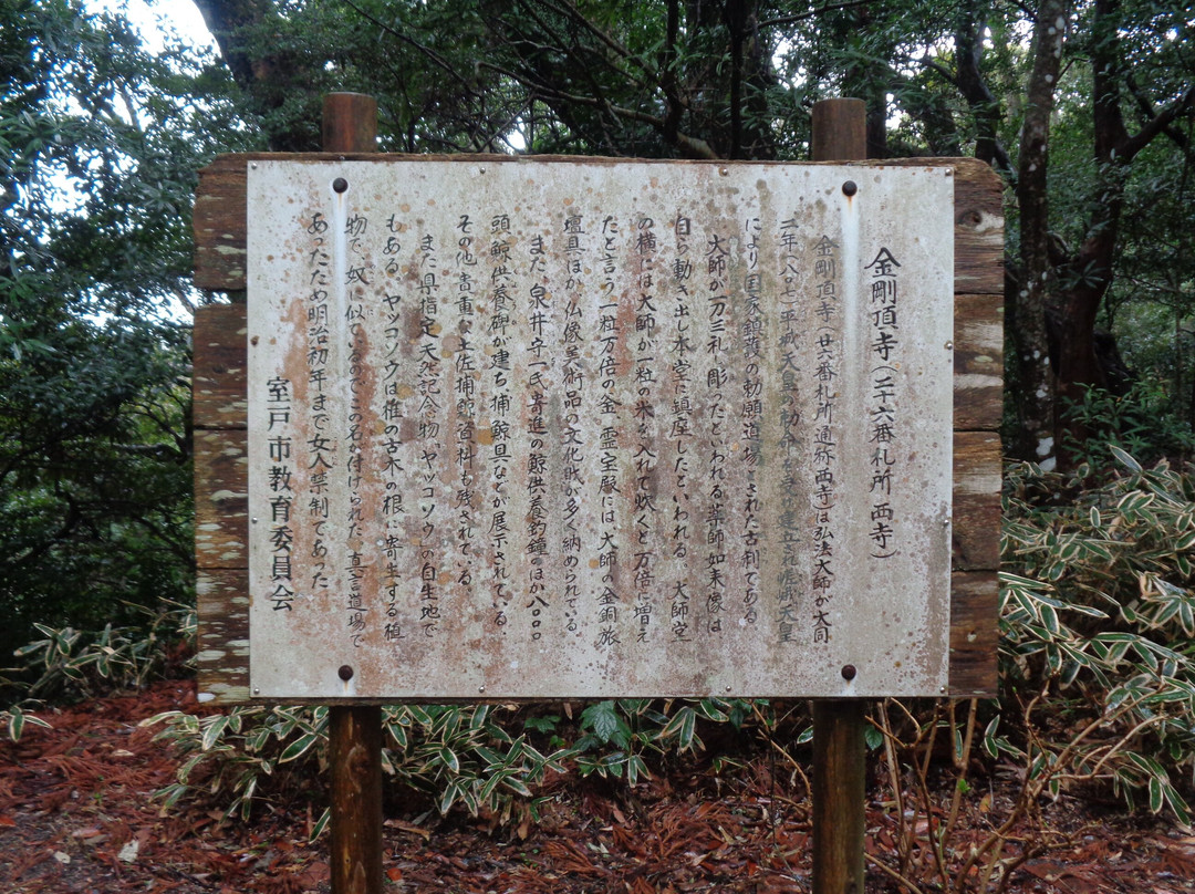 Kongochoji Temple-室户市必去景点
