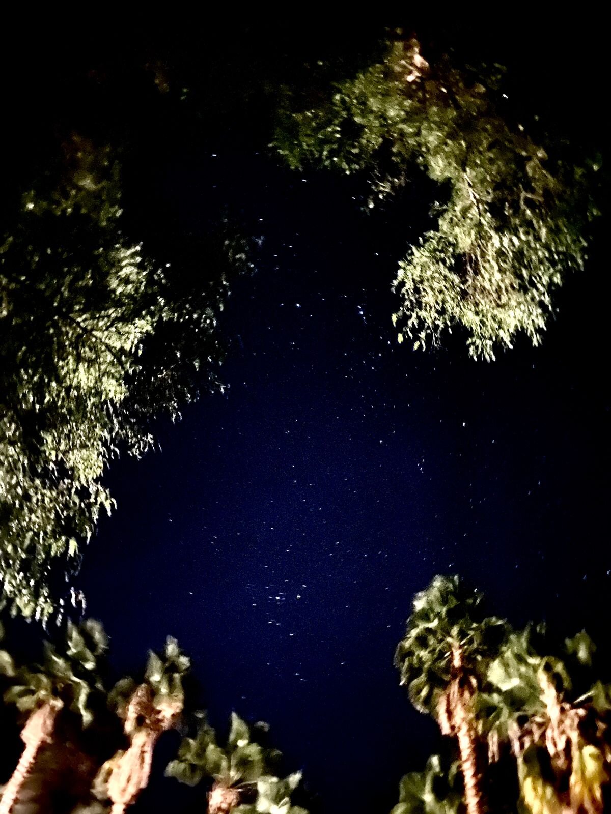 Refugio Misterios Del Elqui-官方