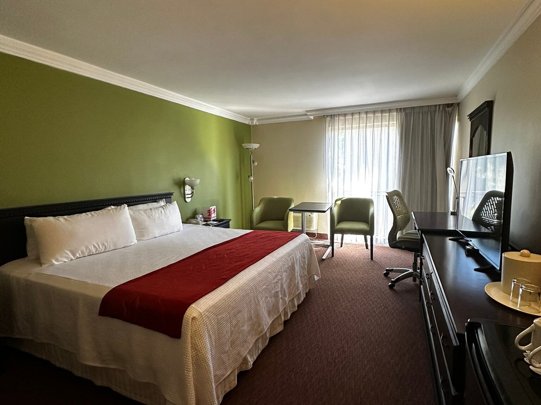 阿莱莎墨西卡利酒店主图