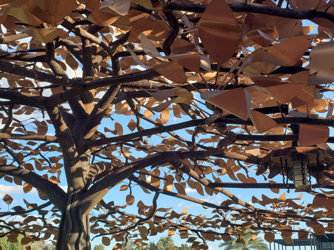 Veterans Memorial-格兰岱尔必去景点
