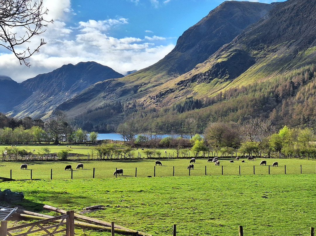 Buttermere Court Hotel主图
