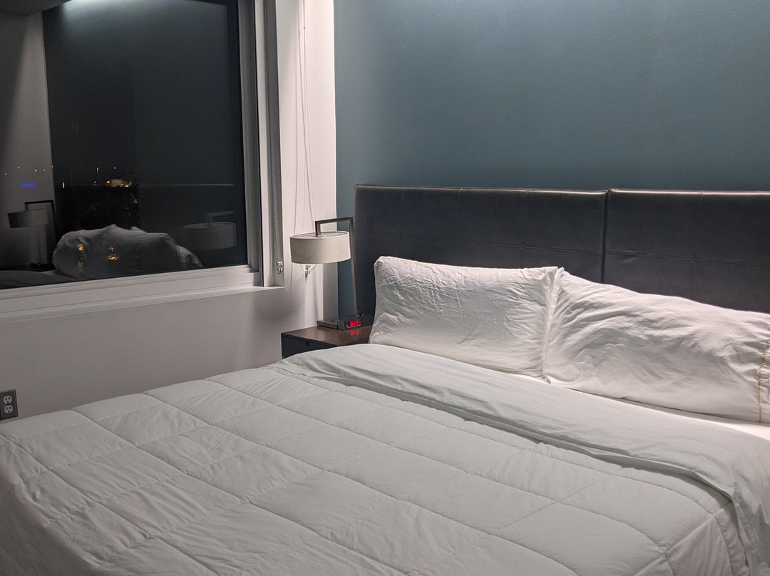 Element Dallas Fort Worth Airport North主图