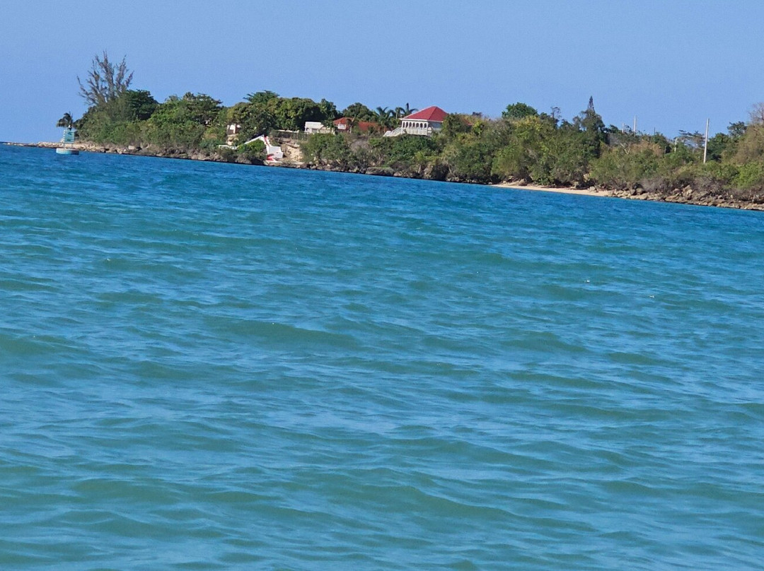 River Rapids Tubing Adventure-Rio Bueno必去景点