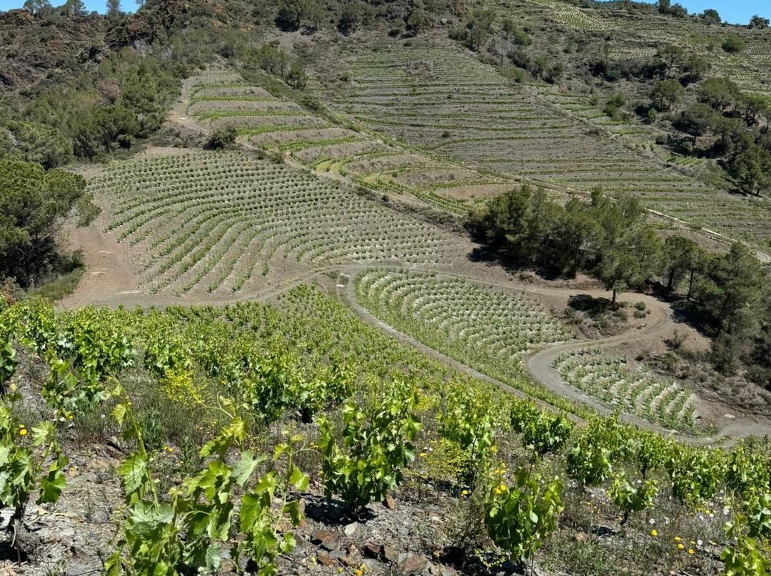 ALVAREZ DURAN PRIORAT景点图片