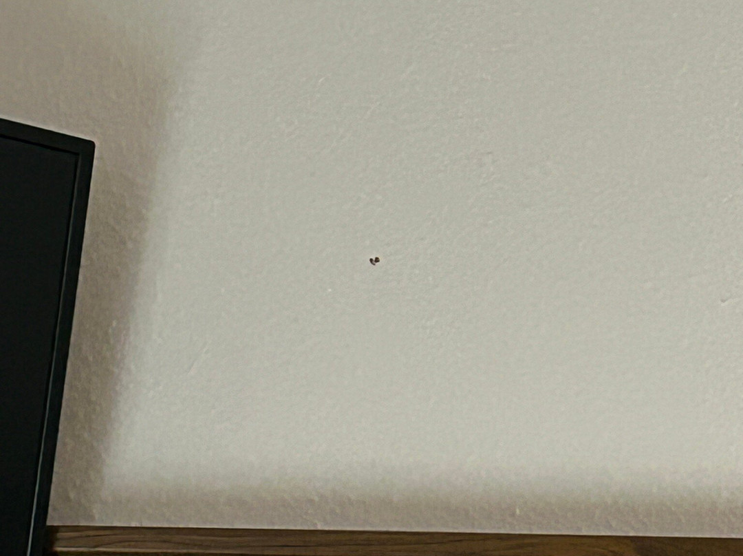 Berghof Mitterberg主图