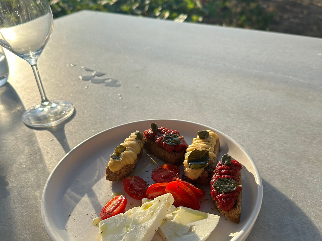 Santorini Wine Trails-费拉必去景点