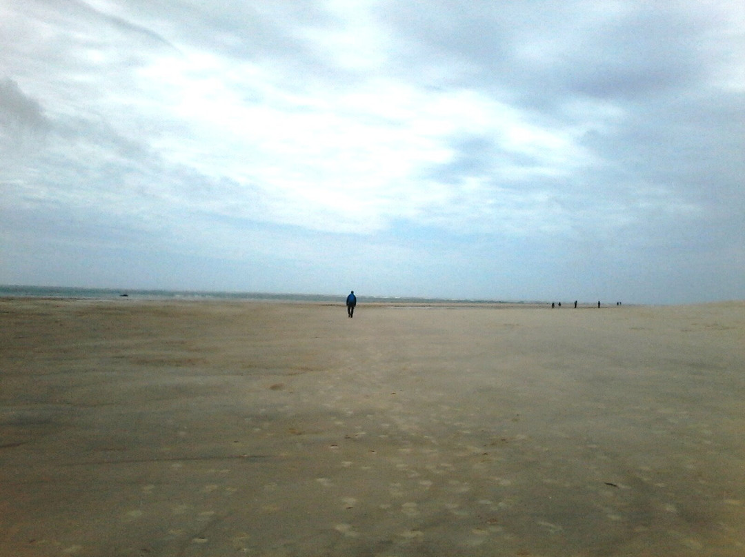 Plage de l'Horizon景点图片