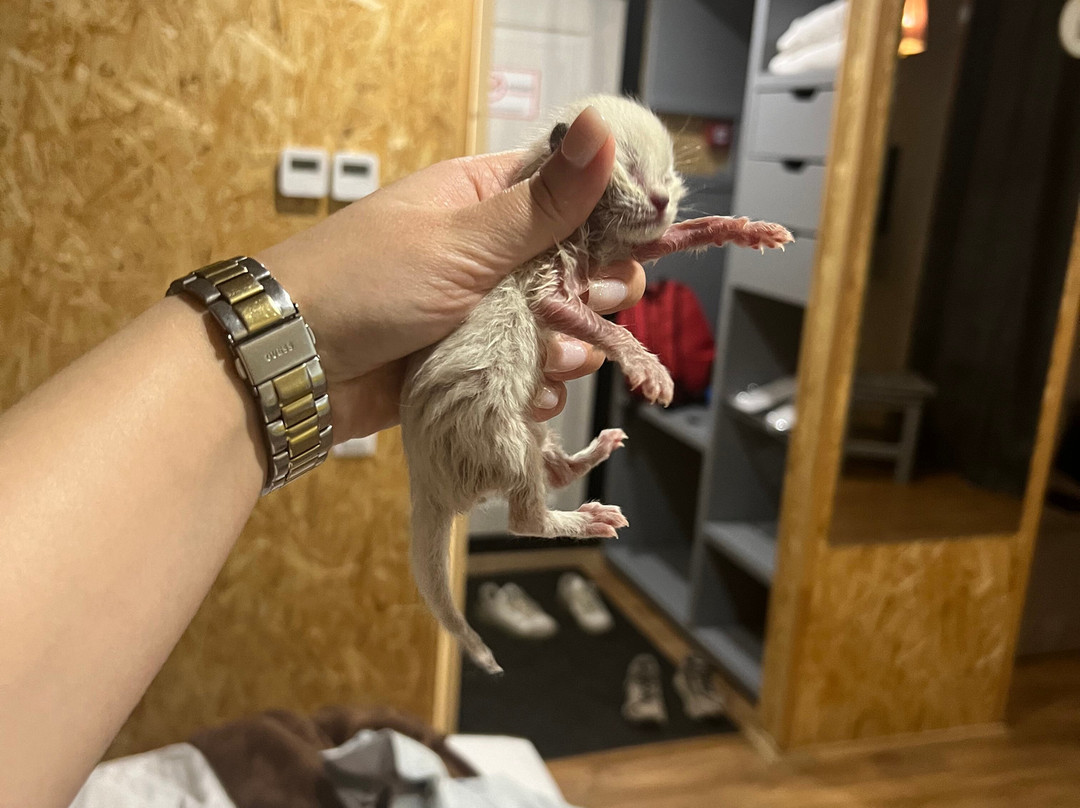 Family Resort UTES主图