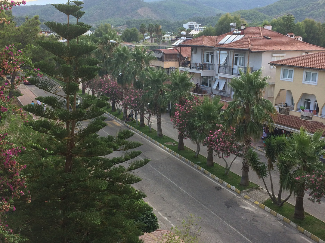 Pine House by Werde Hotels主图