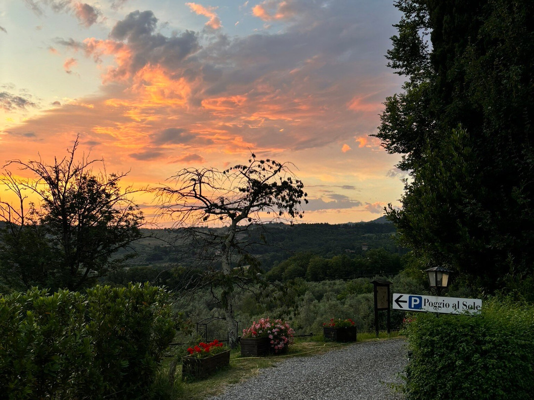 Agriturismo Poggio al Sole主图