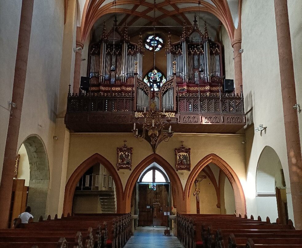 Maribor Cathedral (Church of St John the Baptist)-马里博尔必去景点