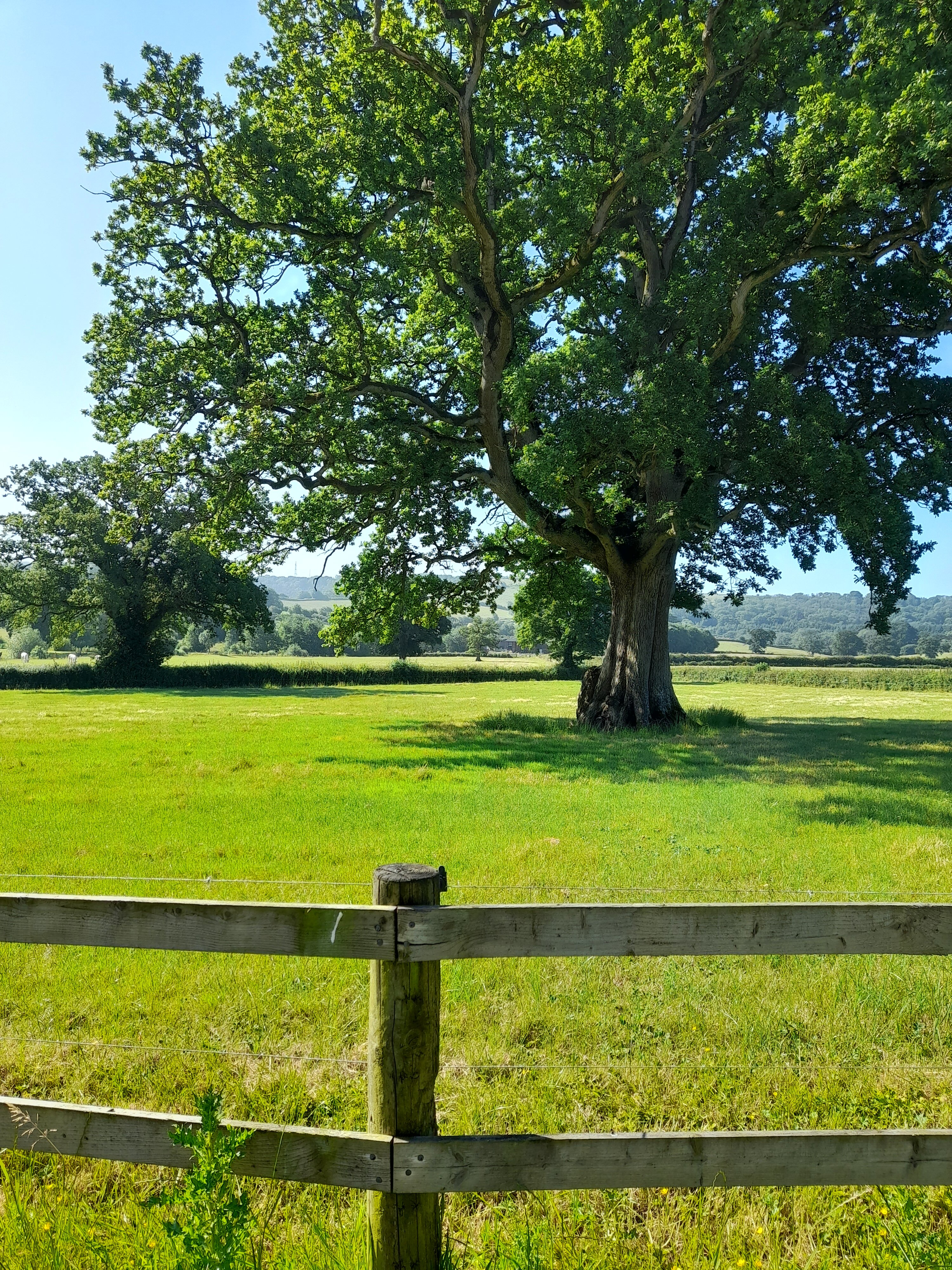 The Victorian Barn Dorset-酒店景观