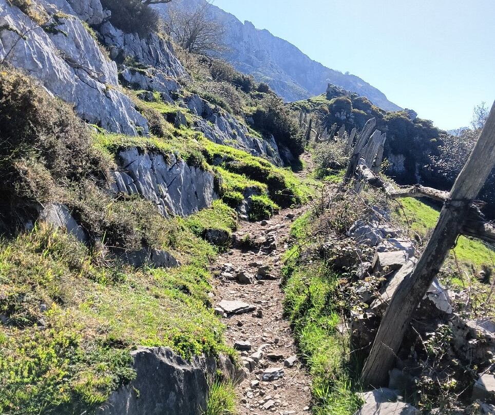 Pena Mea景点图片