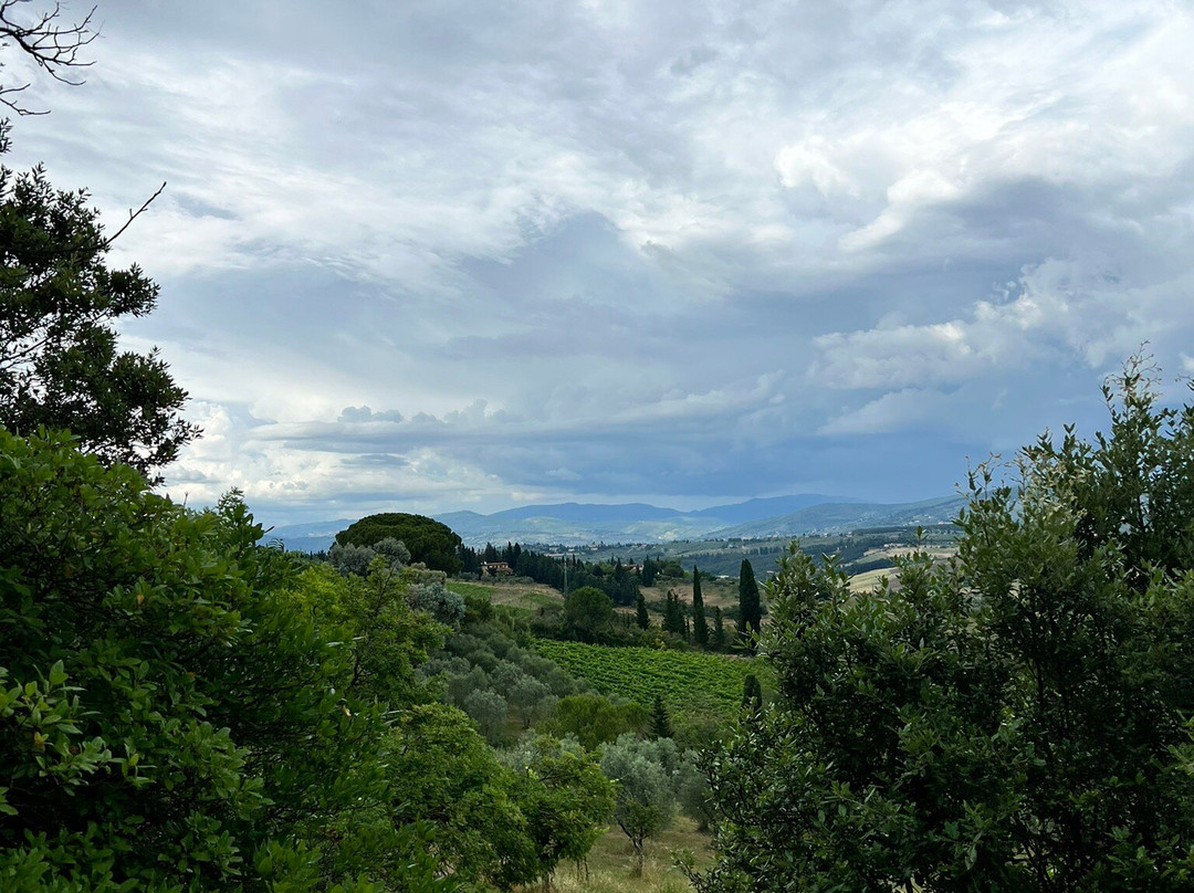 Agriturismo Villa Ulivello in Chianti主图