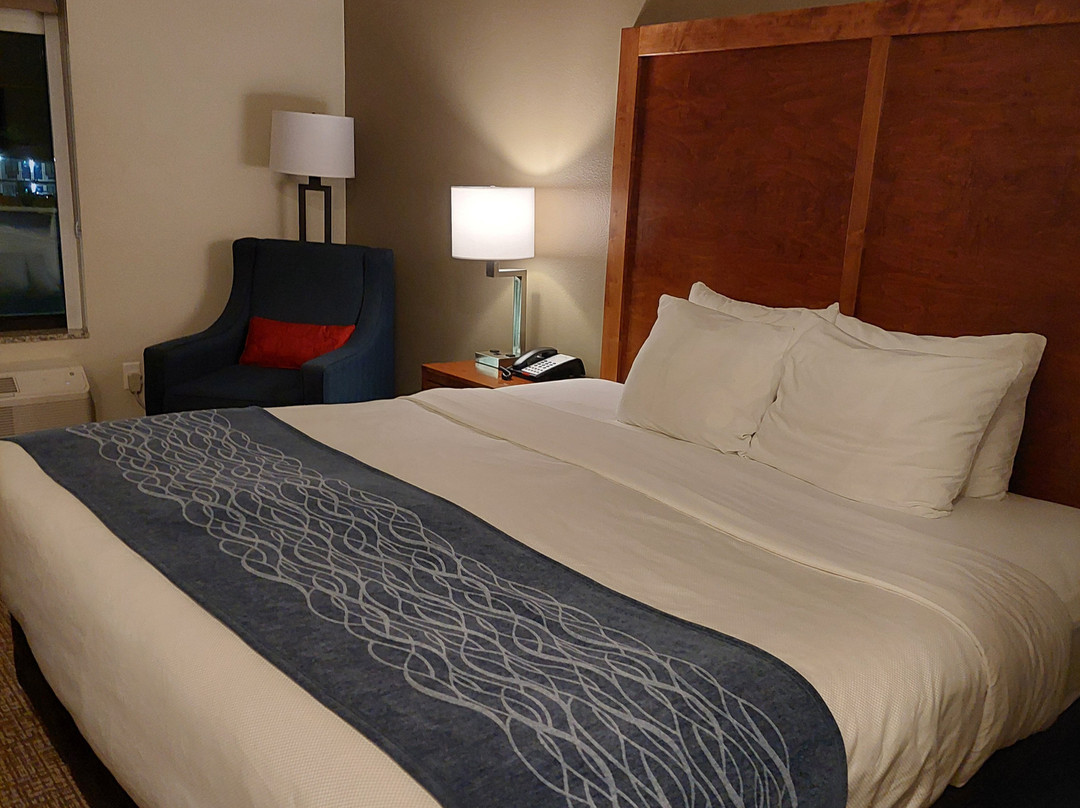 Comfort Inn White House主图