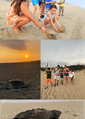 Hux Adventure-Crucecita必去景点