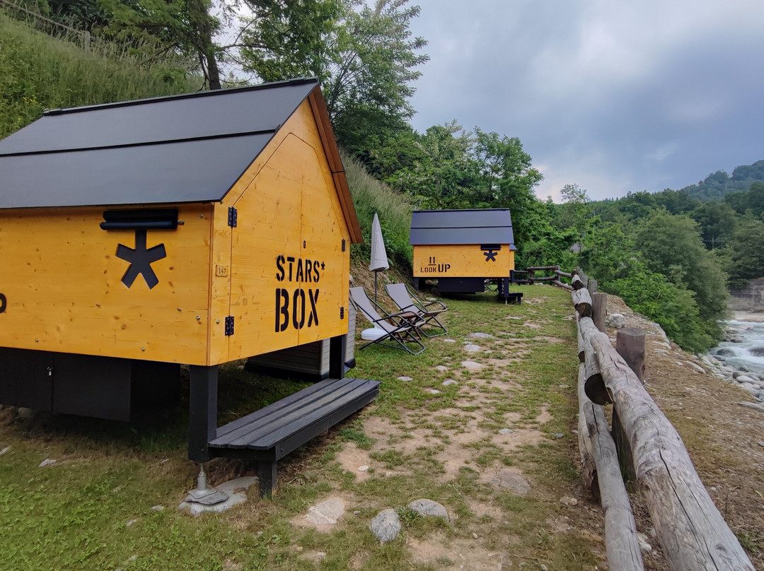 Vecchio Mulino Stars Box主图