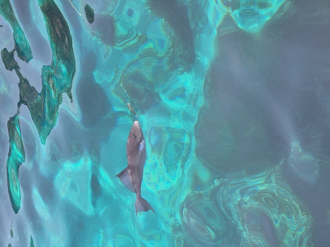 Pescaturismo Maria Rossana-Calasetta必去景点