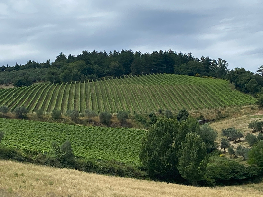 Cantina Di Perano- Frescobaldi-加约莱因基安蒂必去景点