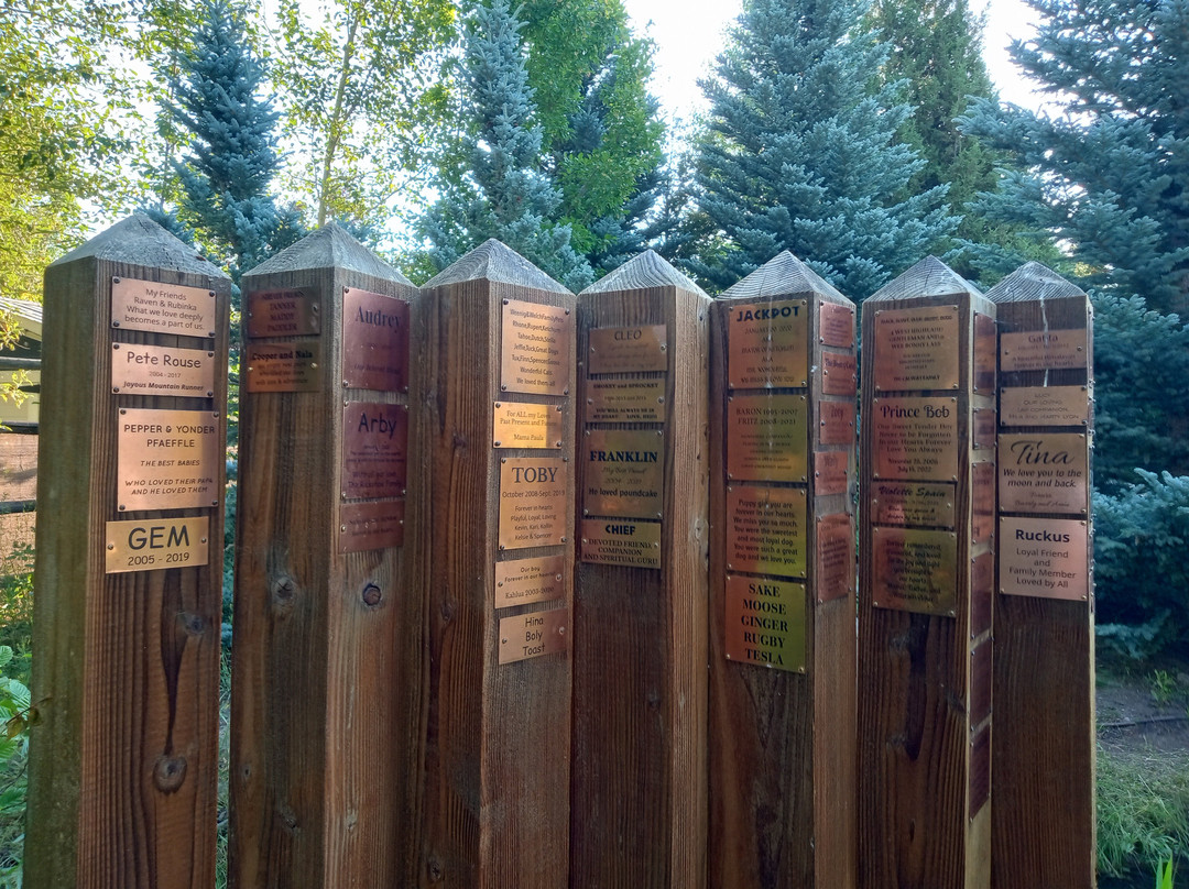 Sawtooth Botanical Garden-Ketchum必去景点