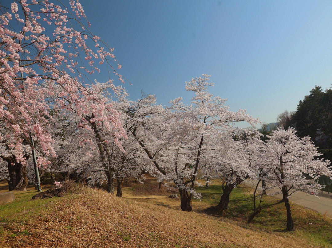 Yukyuzan Park-长冈市必去景点