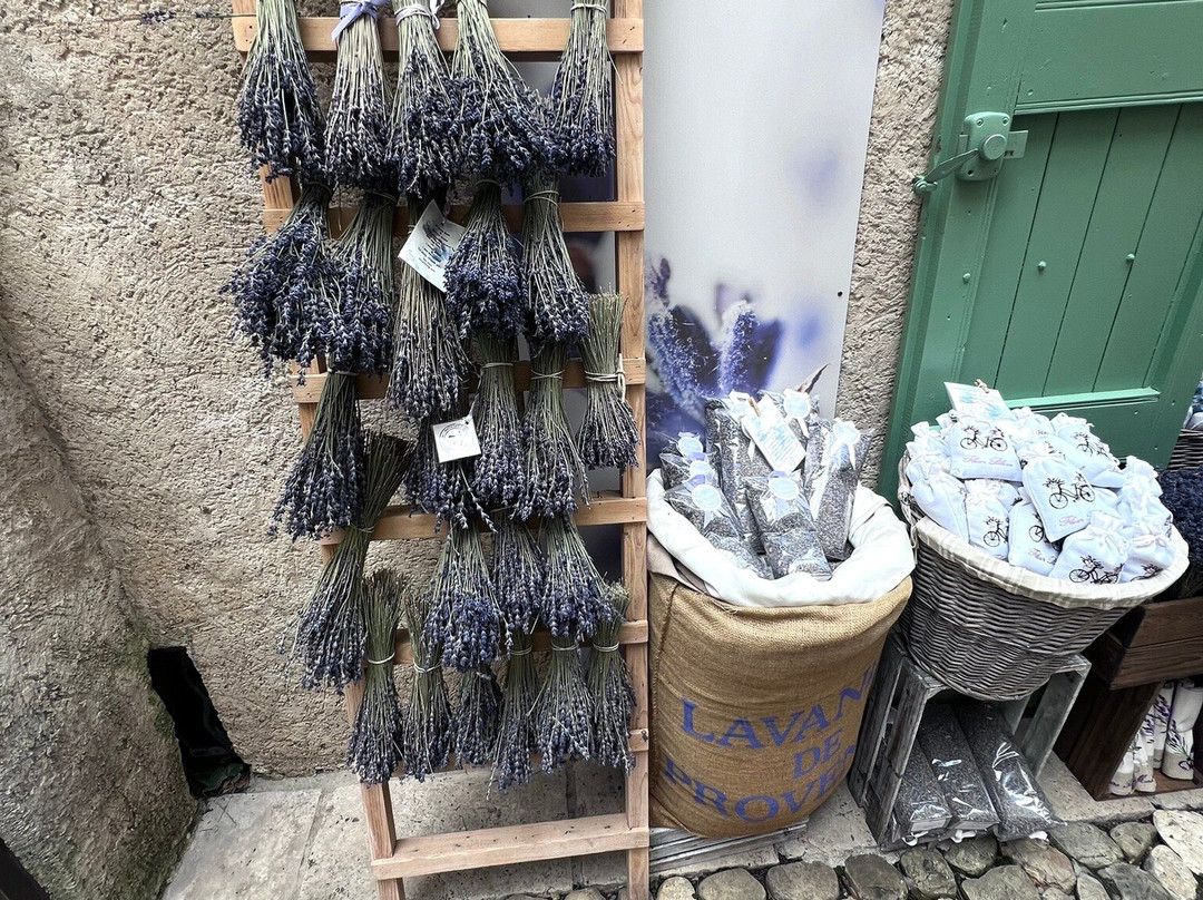Folies de Provence景点图片