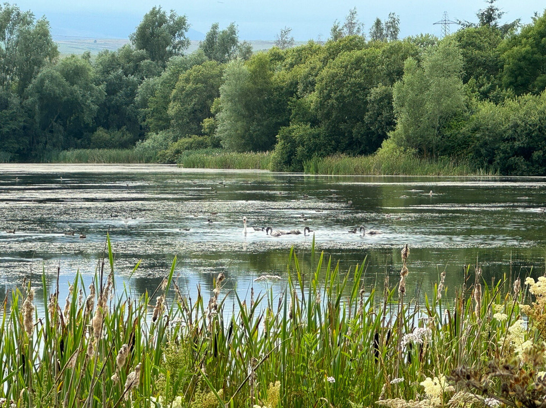 Branton Lakes Nature Reserve