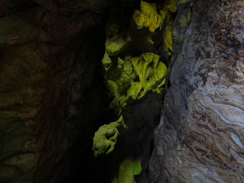 Los Colores de Colombia-波哥大必去景点