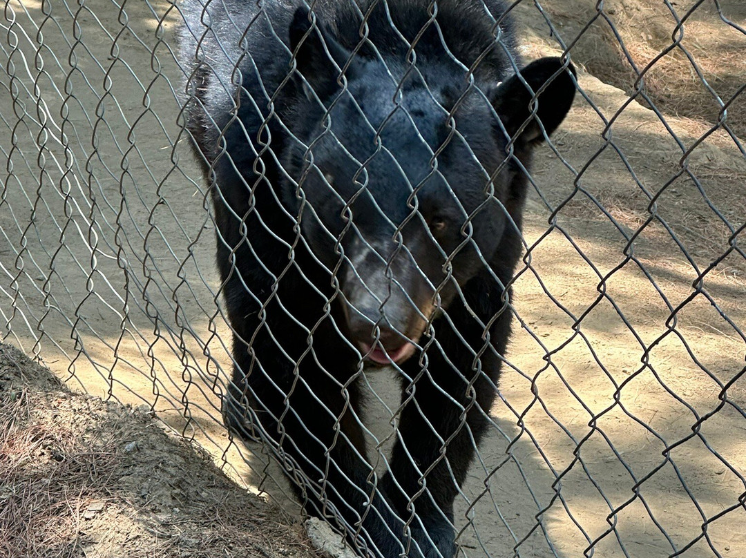 Rancho Magico-墨西哥城必去景点