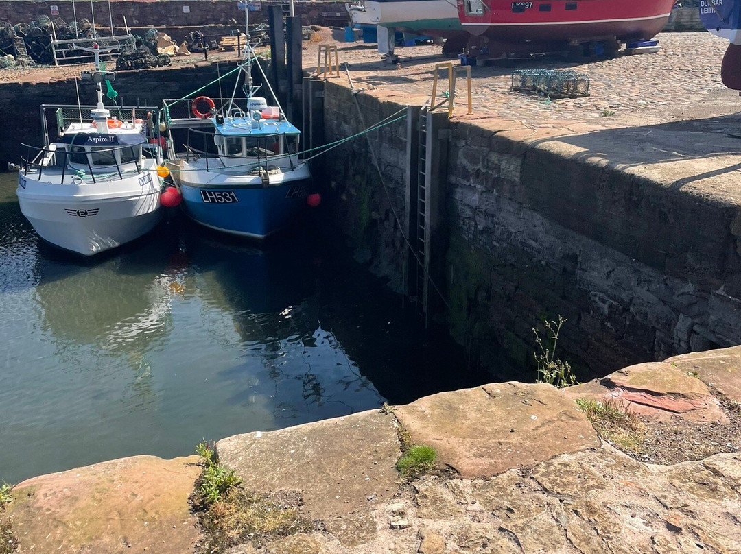 Dunbar Castle-Dunbar必去景点