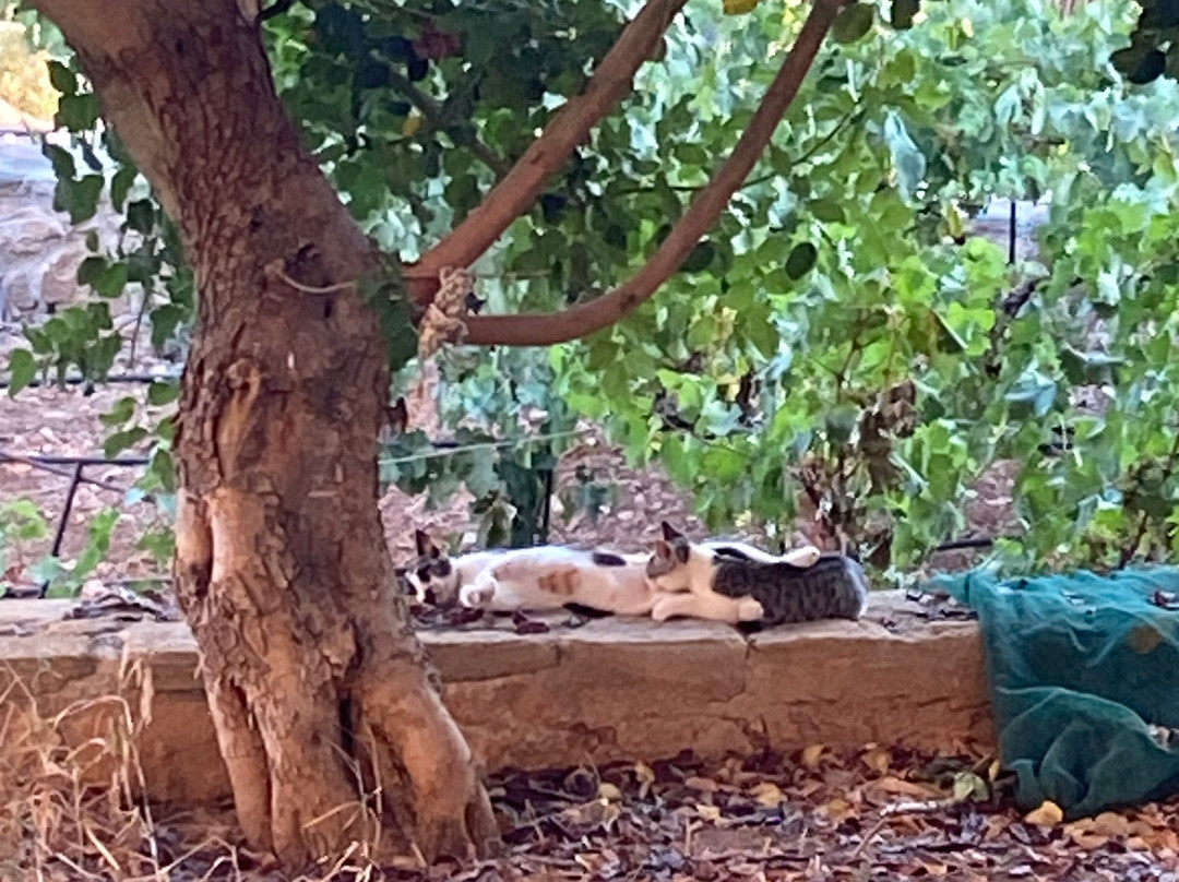 Hotel Golden Sun主图